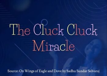 THE CLUCK CLUCK MIRACLE