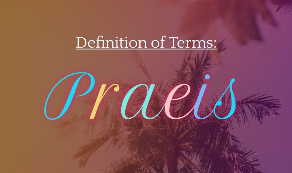 DEFINITION OF TERMS – MEEK (PRAEIS)