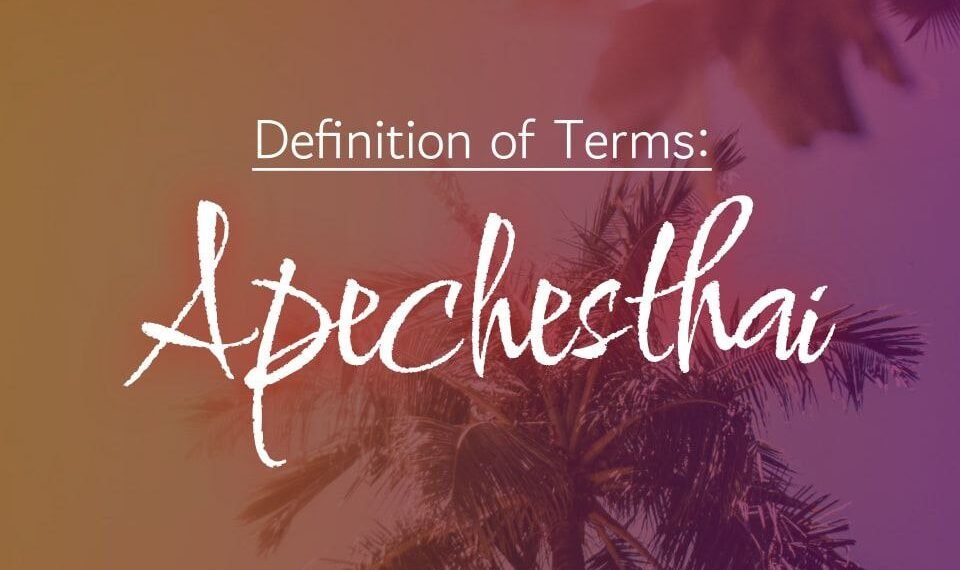 DEFINITION OF TERMS – ABSTAIN (APECHESTHAI)