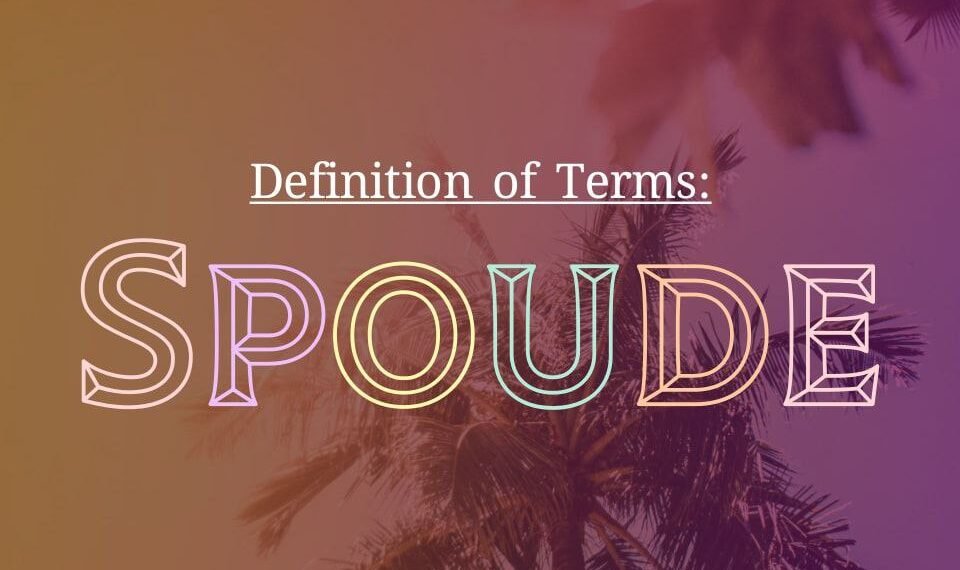 DEFINITION OF TERMS – DILIGENT (SPOUDE)