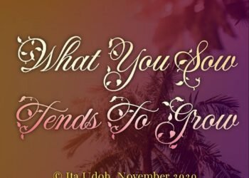WHAT YOU SOW TENDS TO GROW