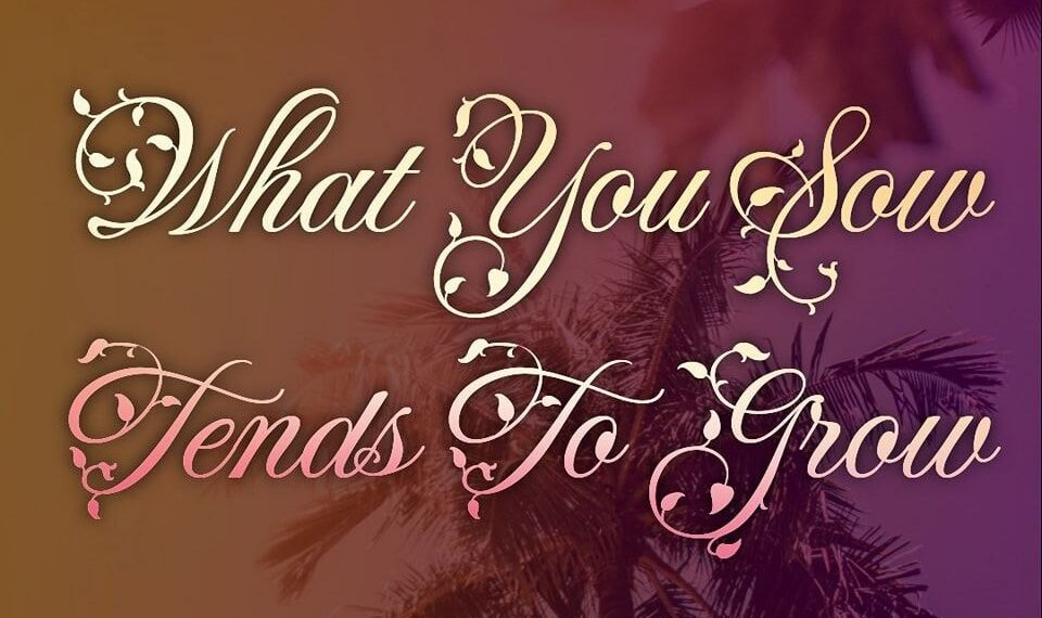 WHAT YOU SOW TENDS TO GROW