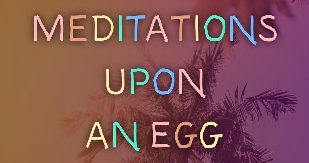 MEDITATIONS UPON AN EGG